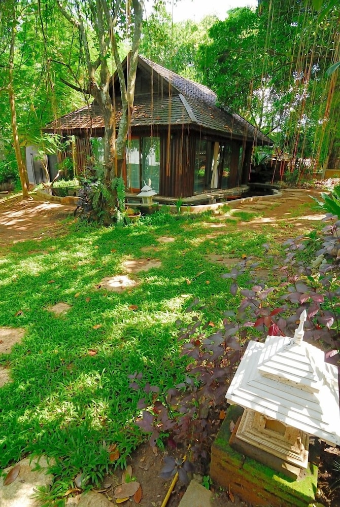 Viva Chiang Mai