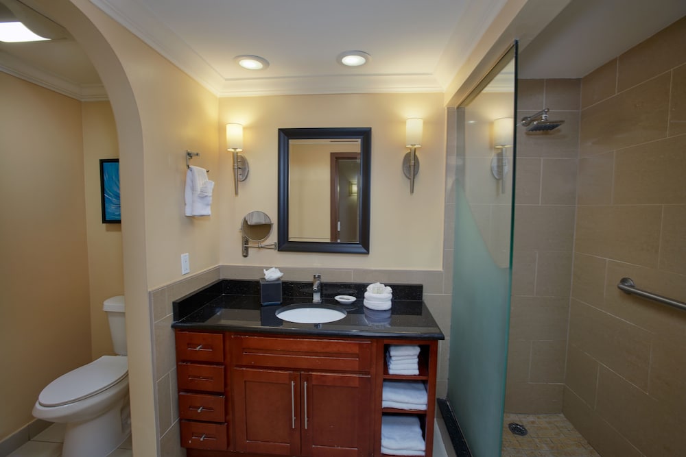 Divi Village Golf  Beach Resort - Property Image 2