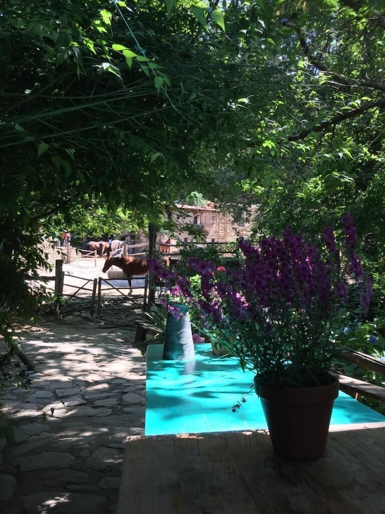 Centro Trekking A Cavallo Monte Brugiana, photo 46