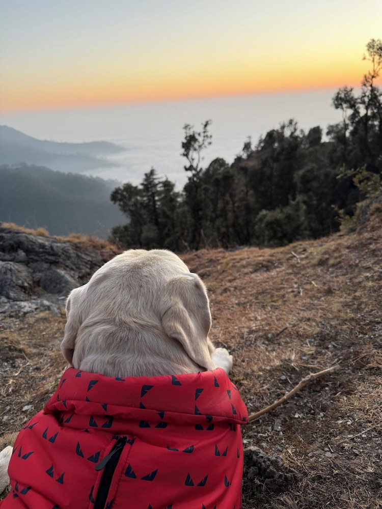 Echoes of the Himalayas