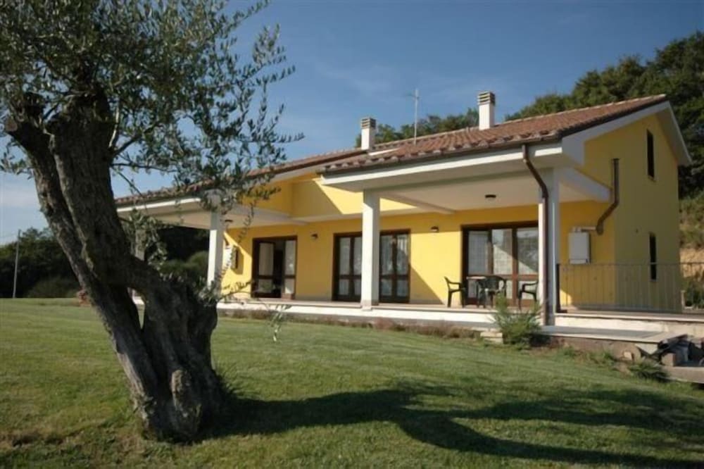 Photo 22