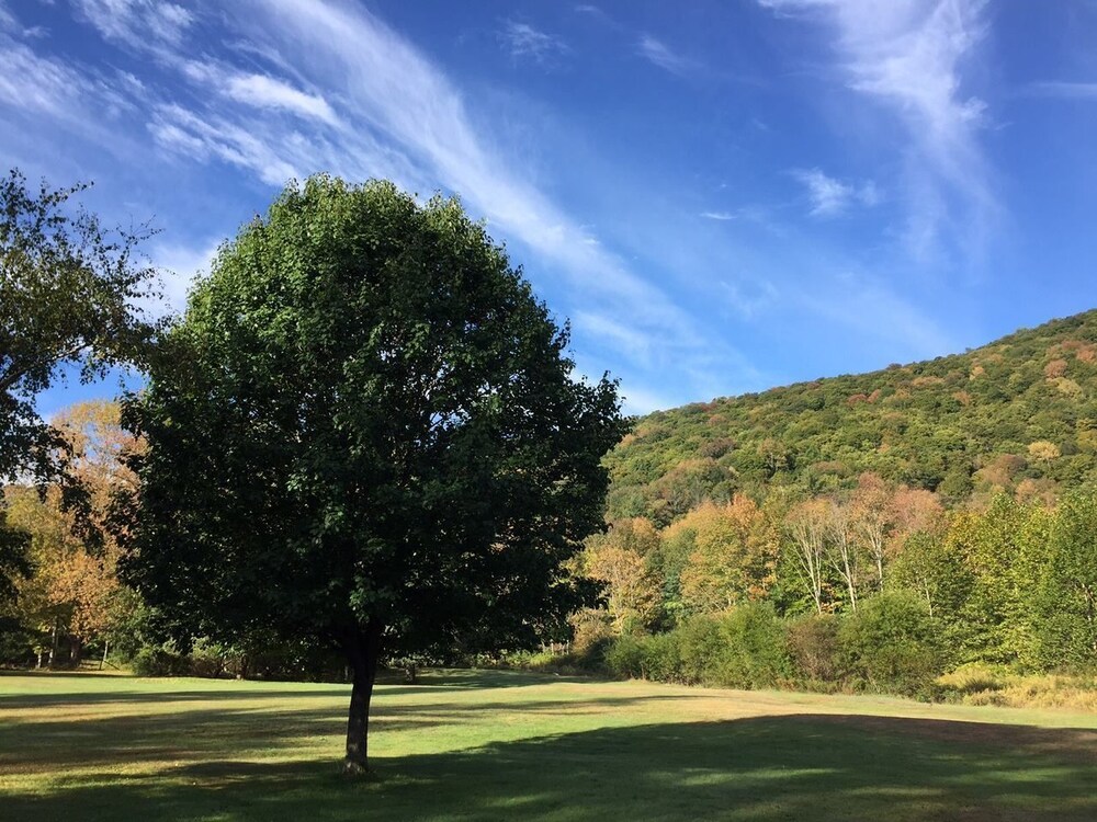 Cold Spring Lodge