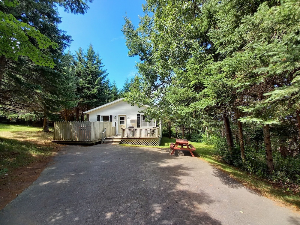 Photo 85