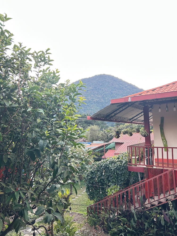 1961 Los Naranjos Hostal
