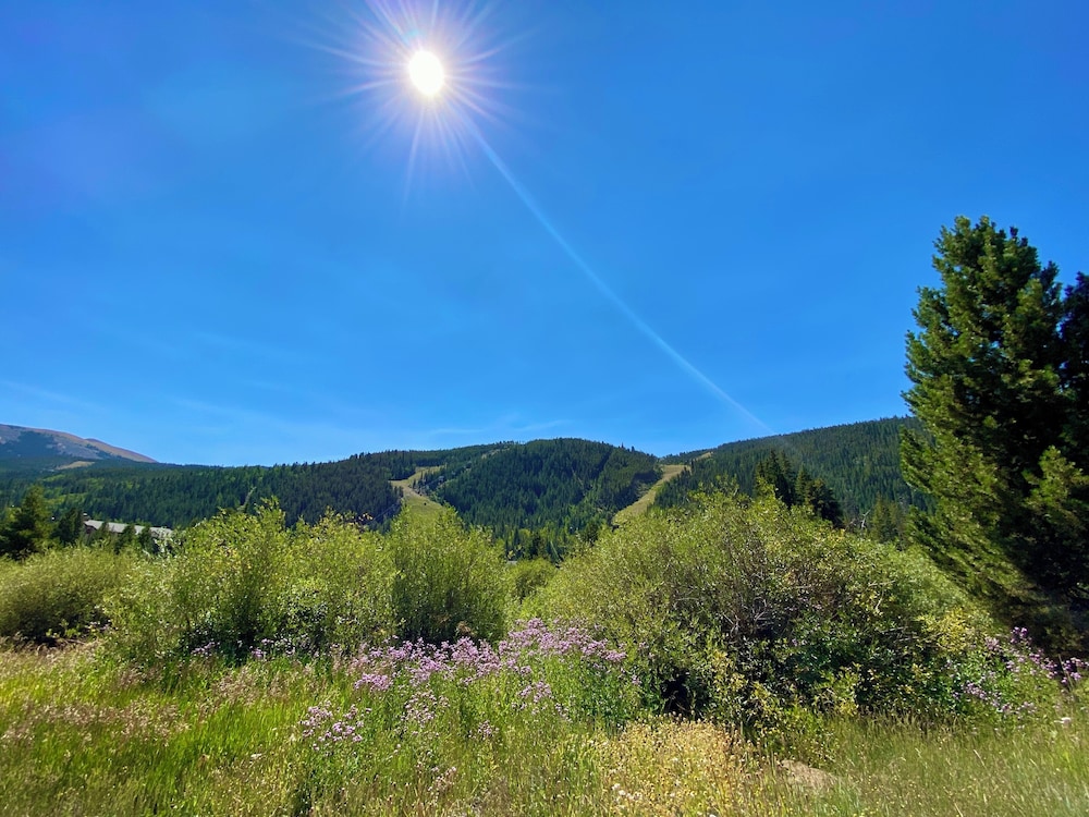 Tenderfoot Lodge 2620