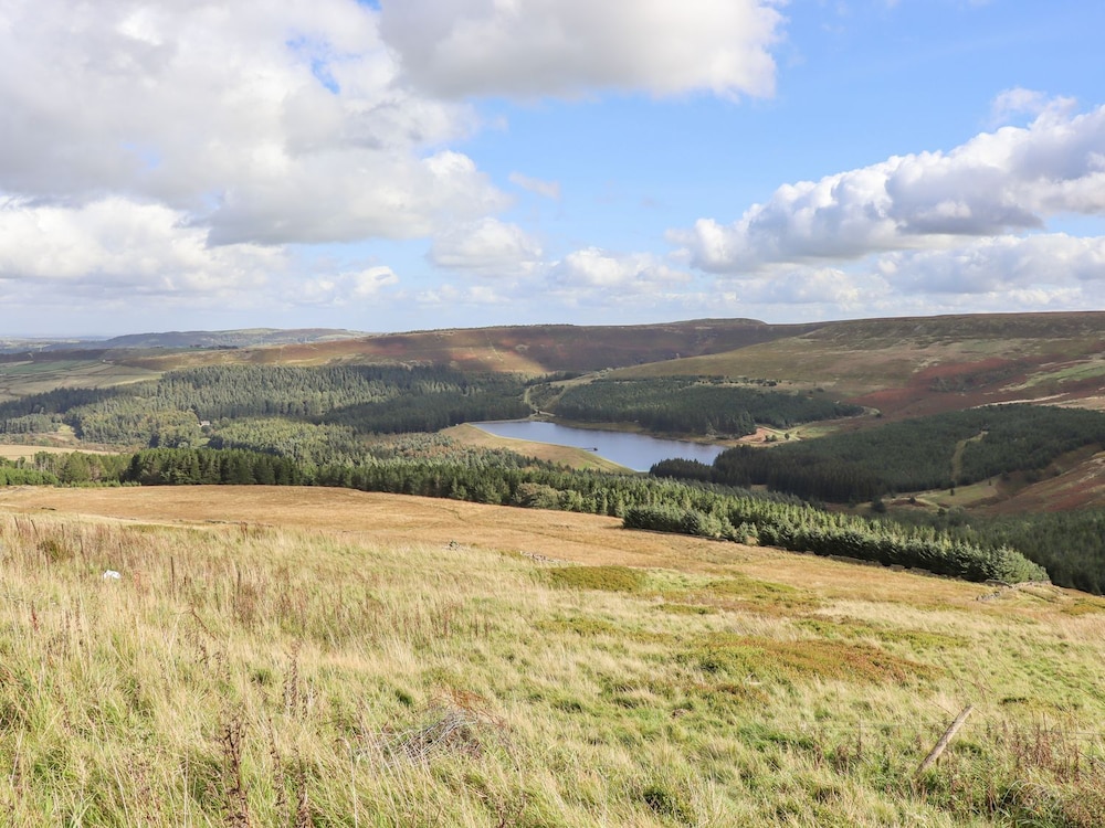 The Shearer's Hut