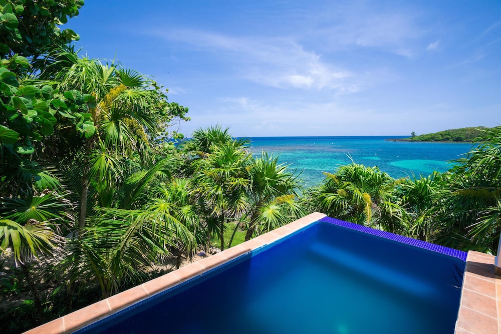 Coral Vista 3
