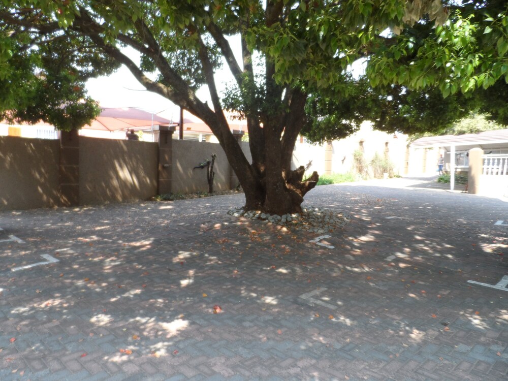 Photo 41