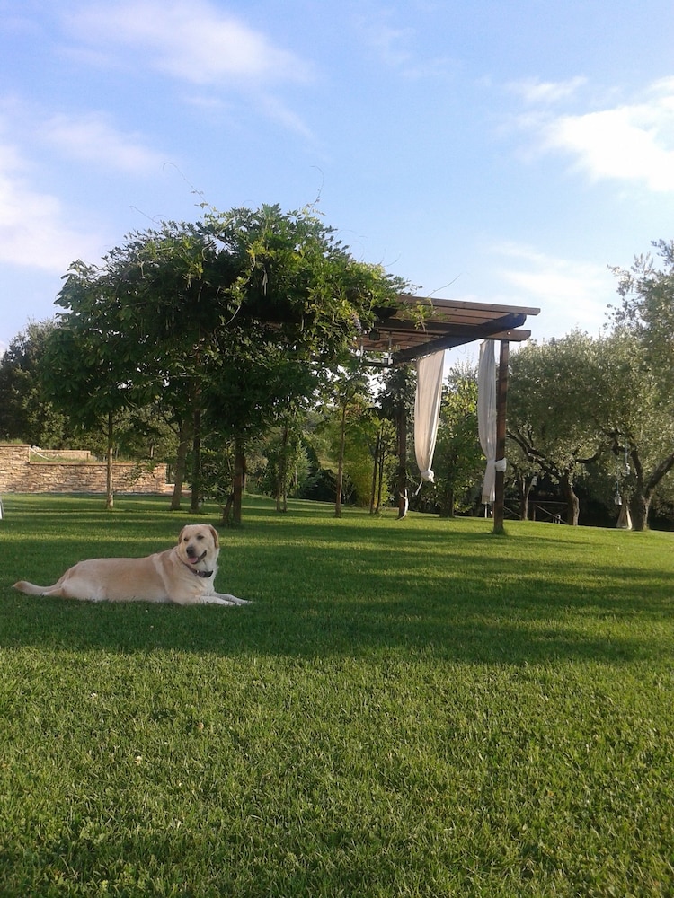 Photo 40