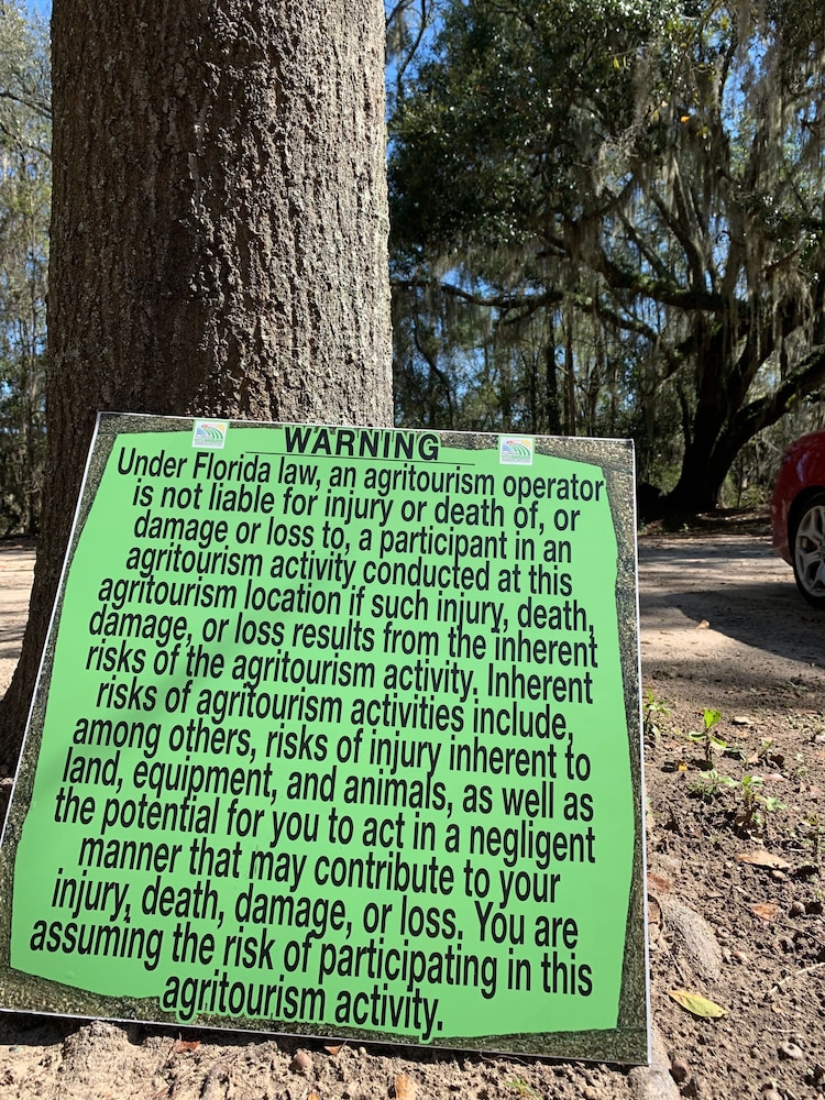 Comfy Camping At The Forge - Property Image 11