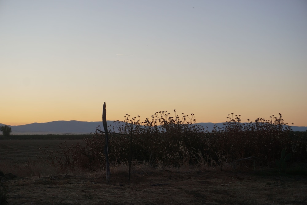 Willows Vacations - Blue Gum Motel - Property Image 3