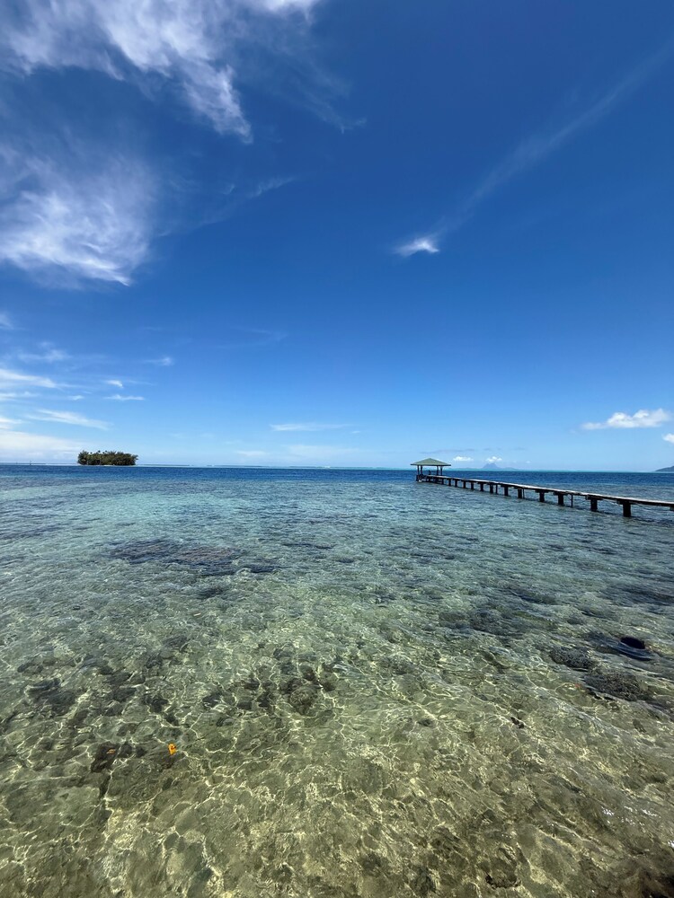 Vahine Ori Lodge