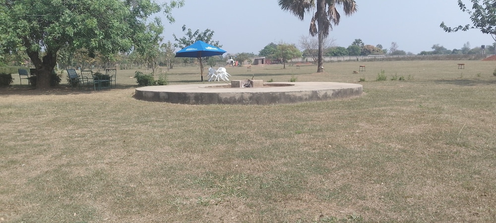 Photo 46