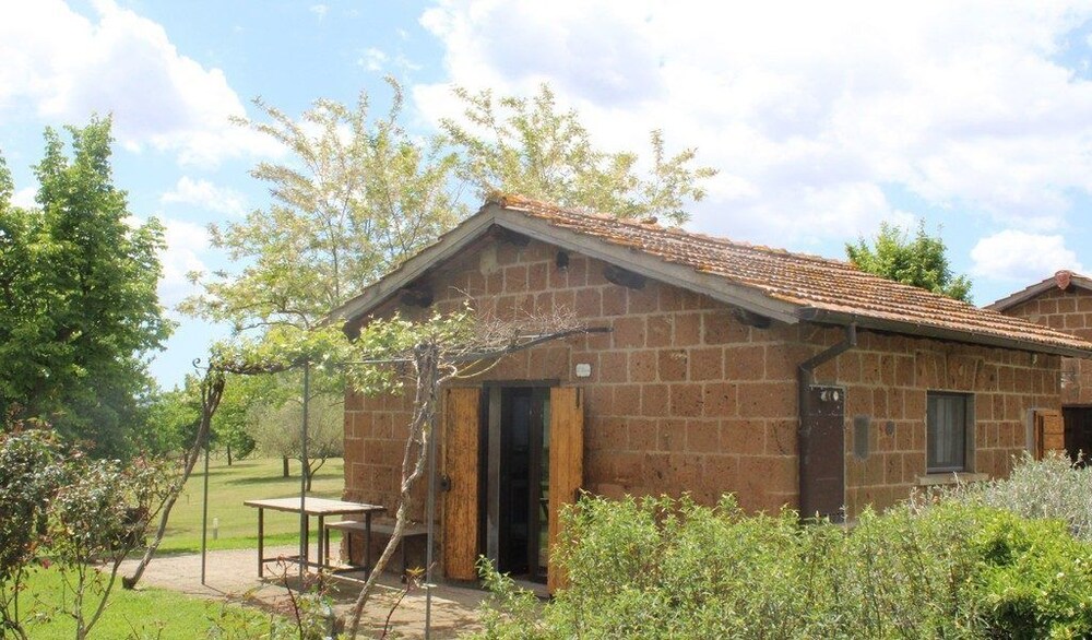 Photo 17