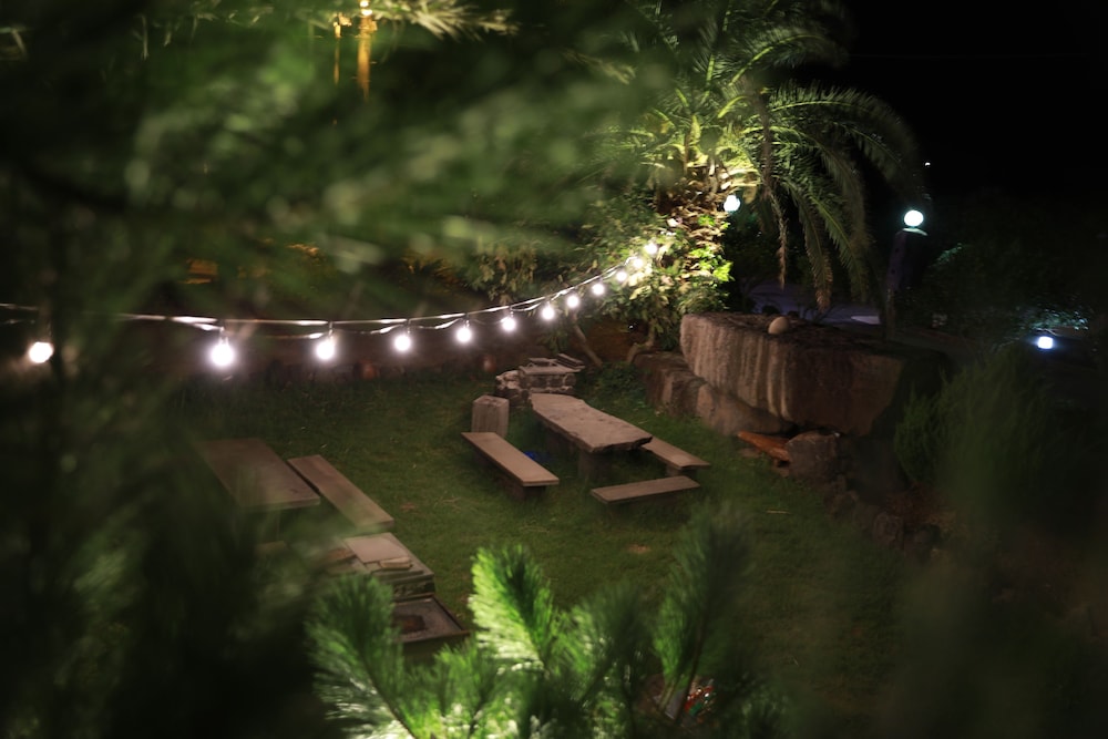 Photo 20