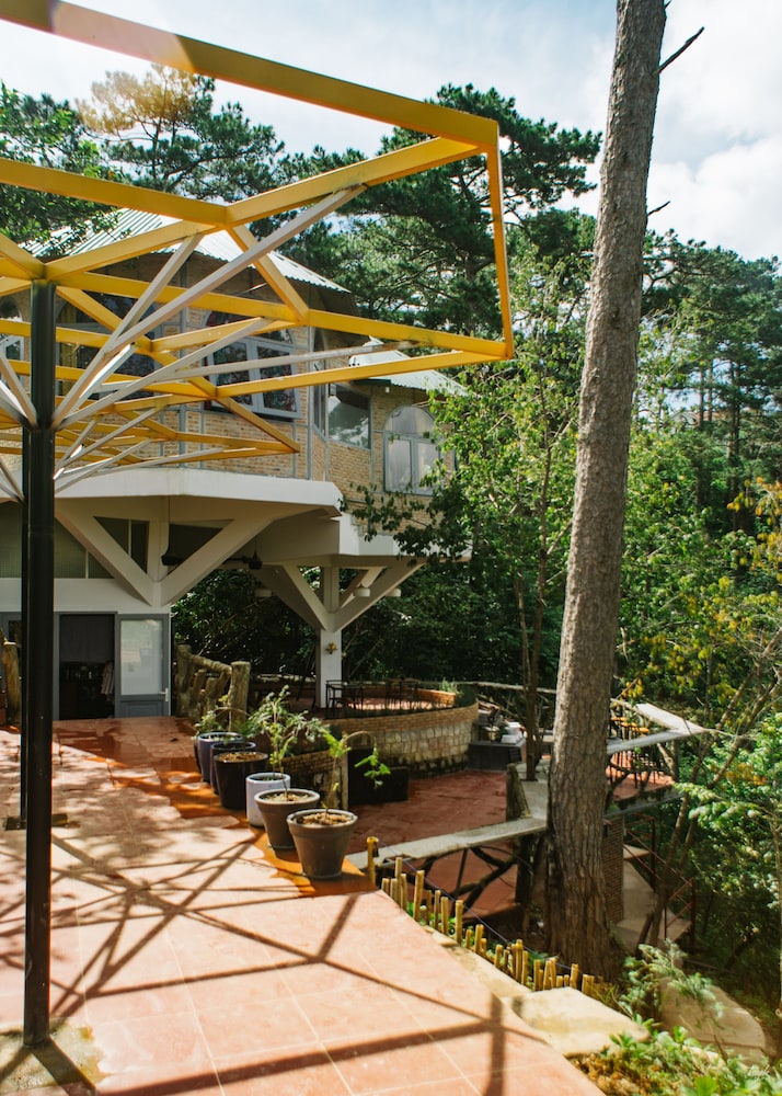 Maple Hostel