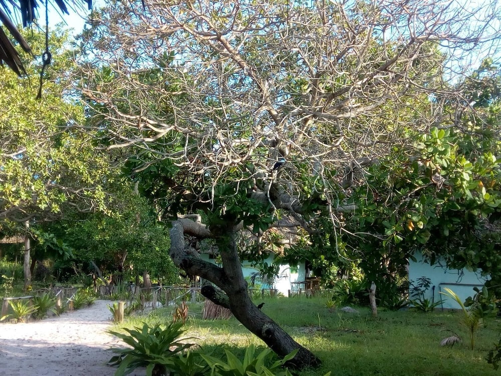 Photo 41