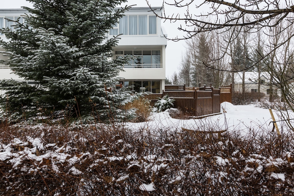 Guesthouse Garun, Skolavellir