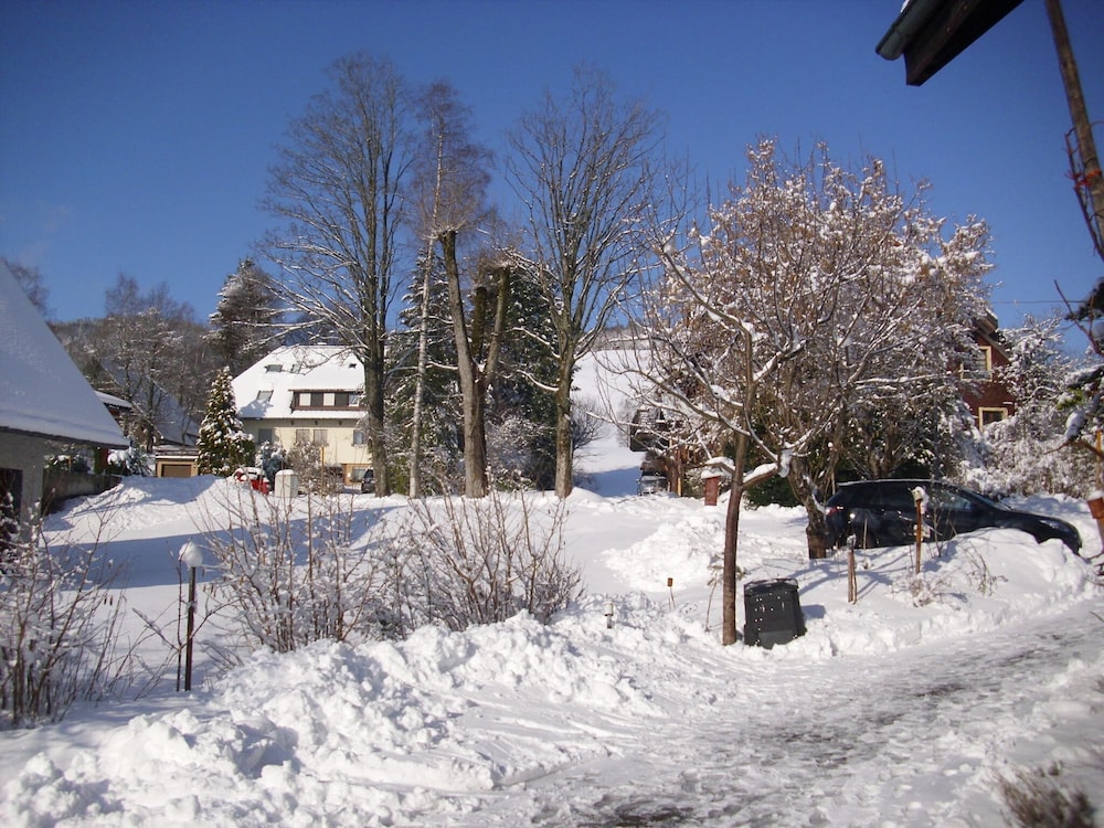 Photo 29