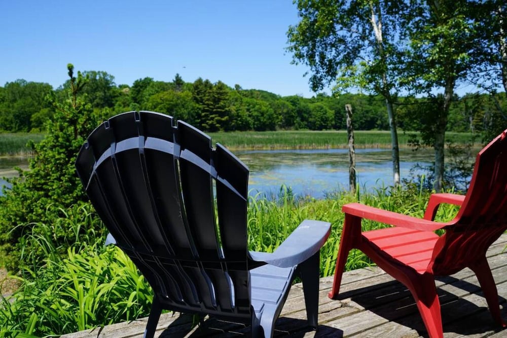 Welcome to Black River - Nature Lovers Paradise