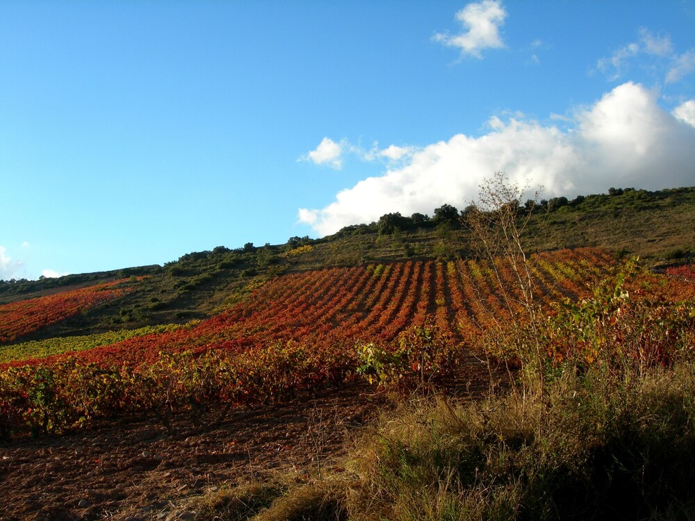 Casa Rural Mirador de Moncalvillo view 2