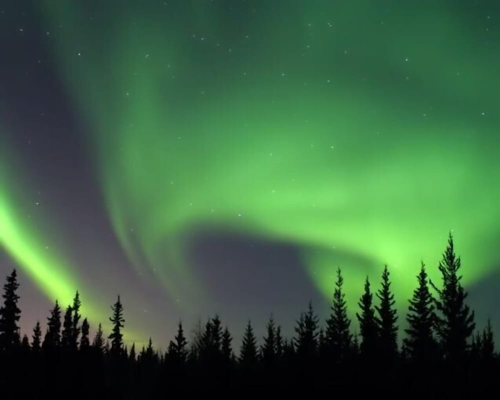 Alaska Haven - Property Image 16