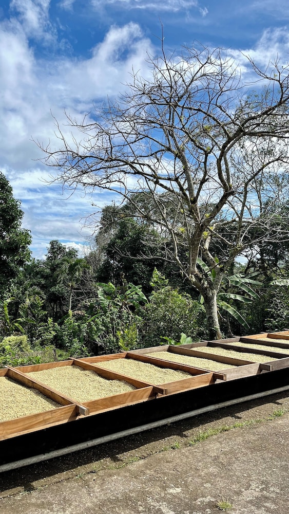 Vera Eco-Resort