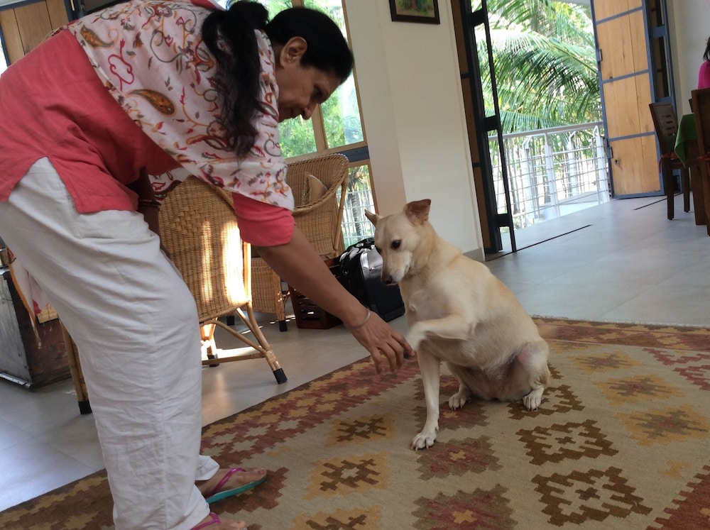 Photo 24