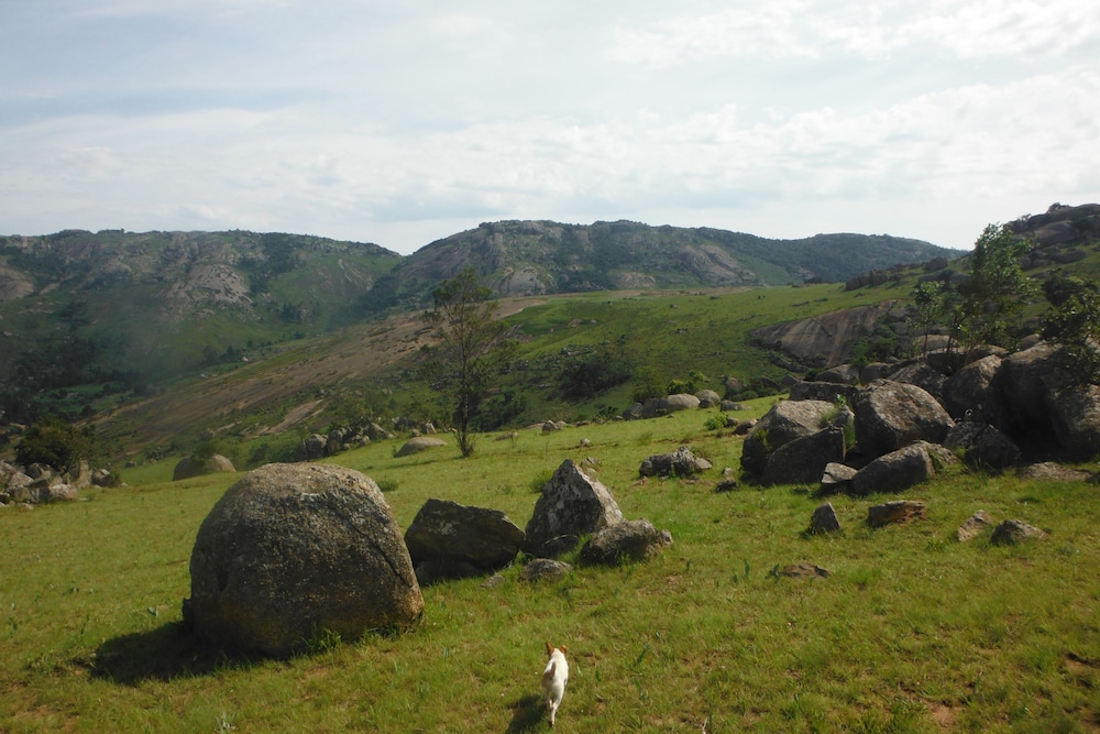 Photo 22