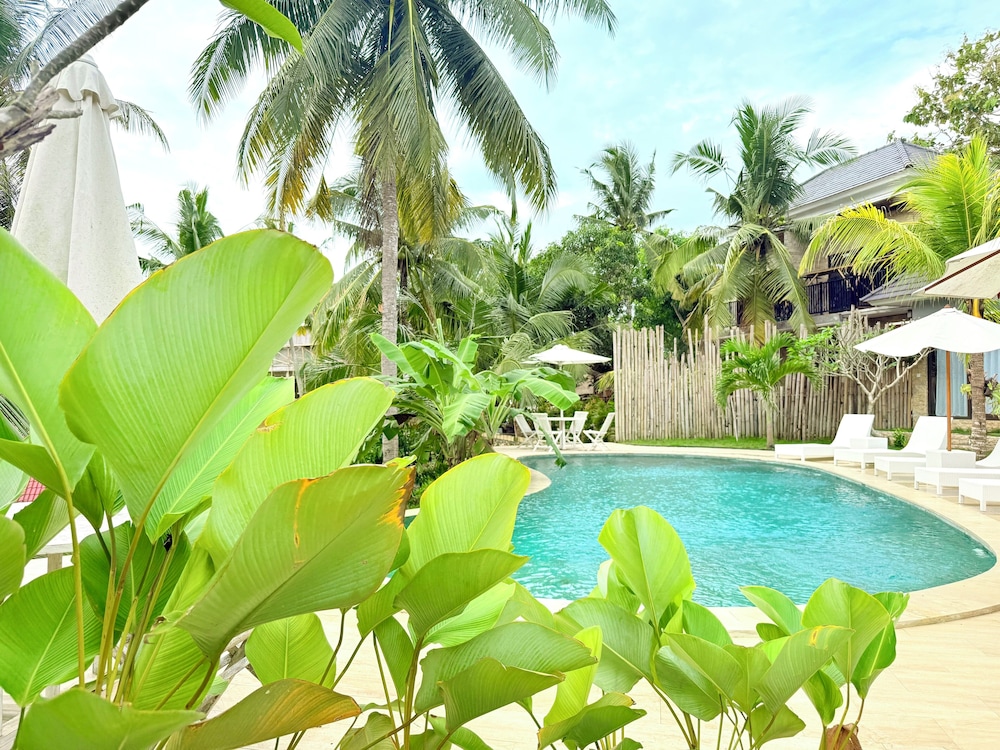 Kelingking tropical