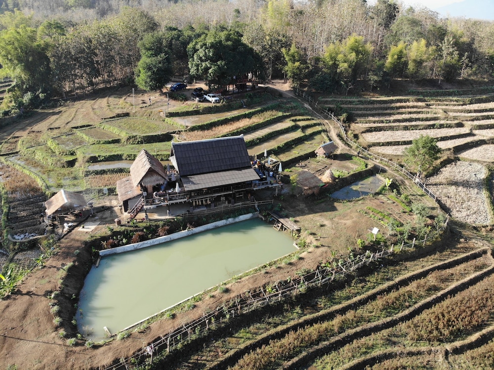 Photo 45