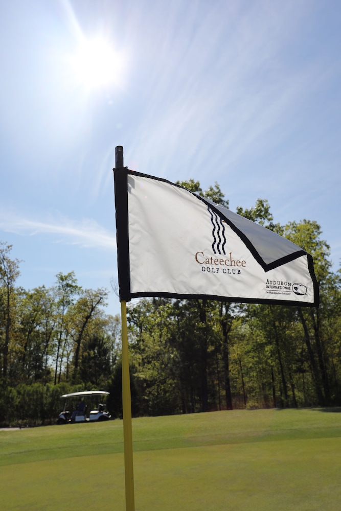 Cateechee - Property Image 9
