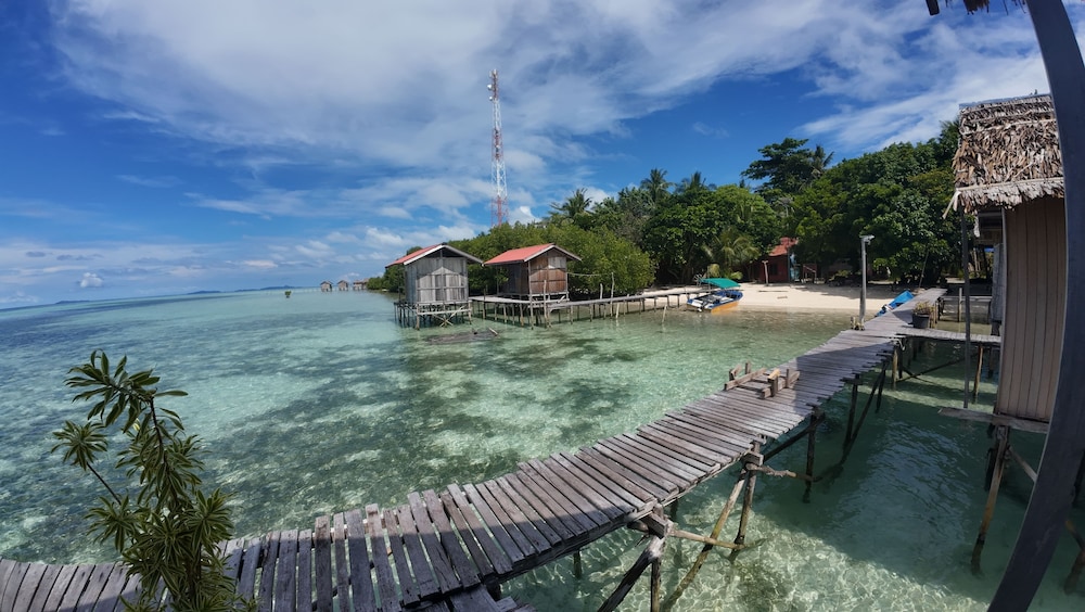 Arborek Dive Homestay