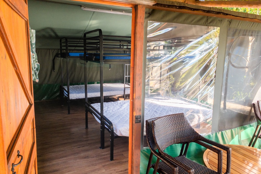 Binna Burra Rainforest Campsite view 2