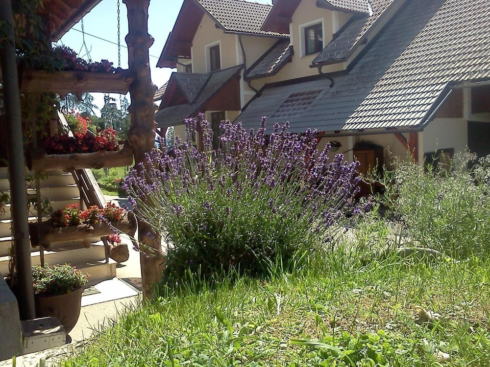 Photo 48