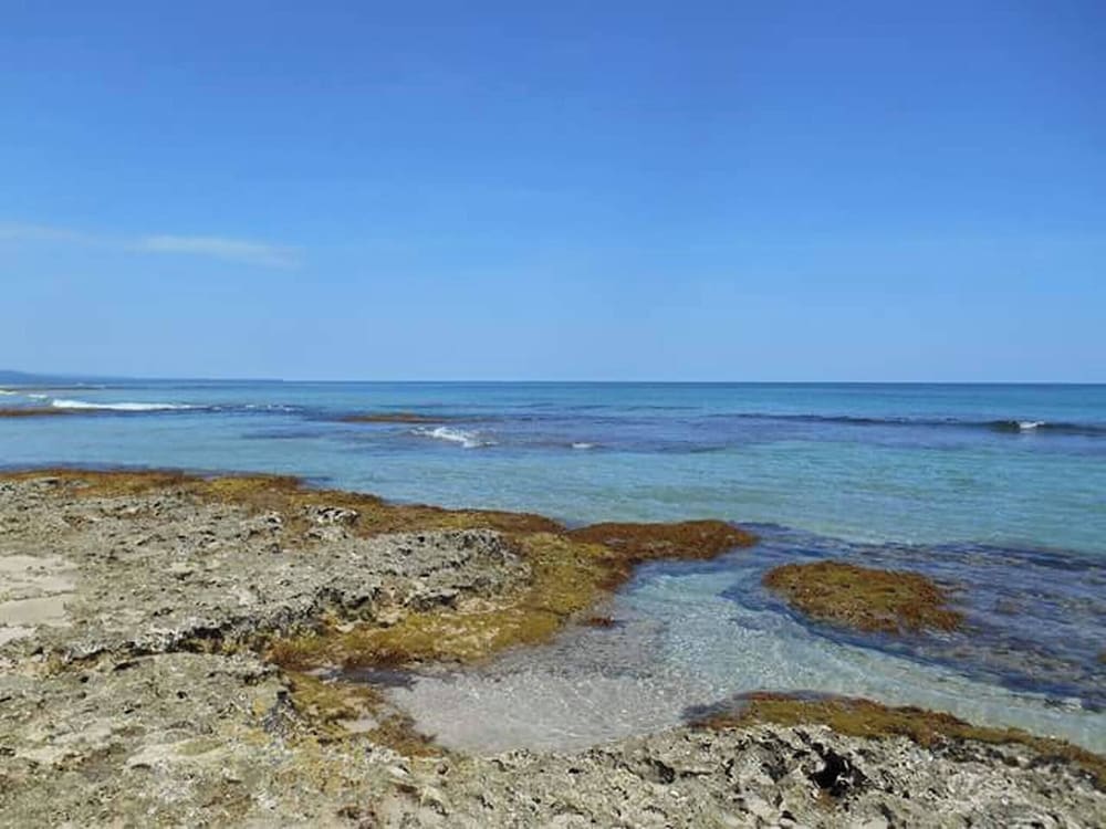 Brisas del Caribe # 2