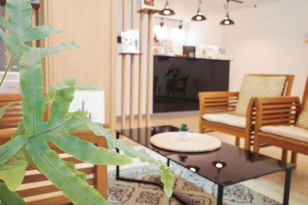 Starria Hostel foreign guest only 3