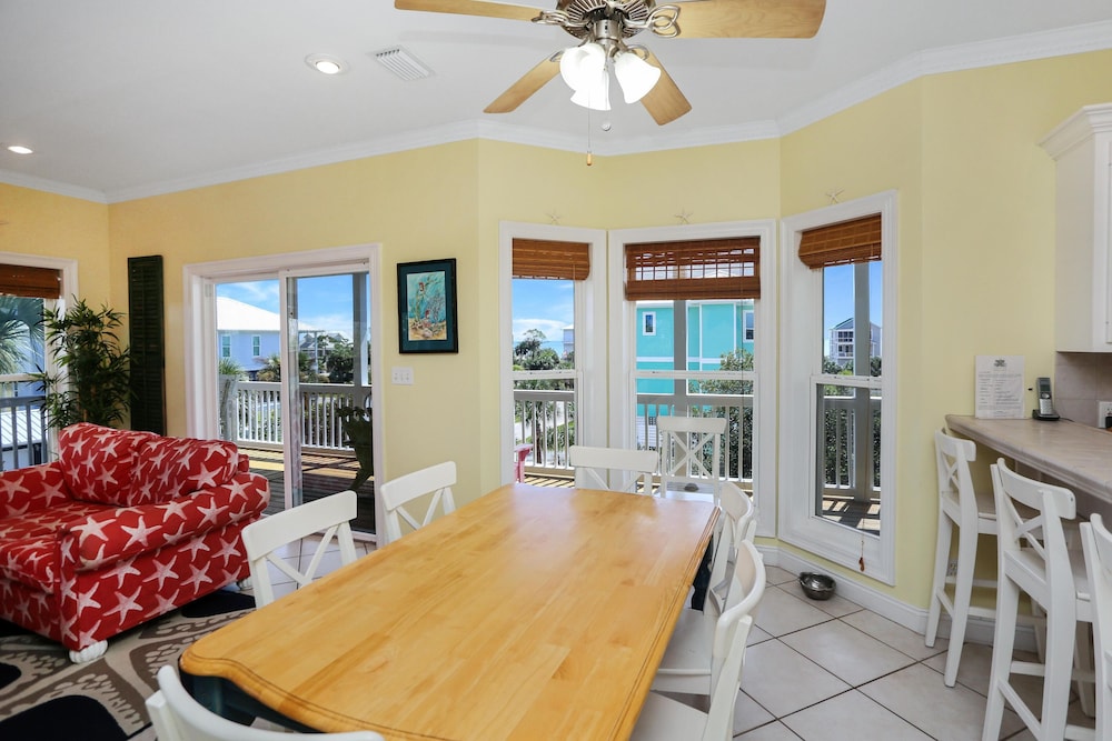Cape Palms