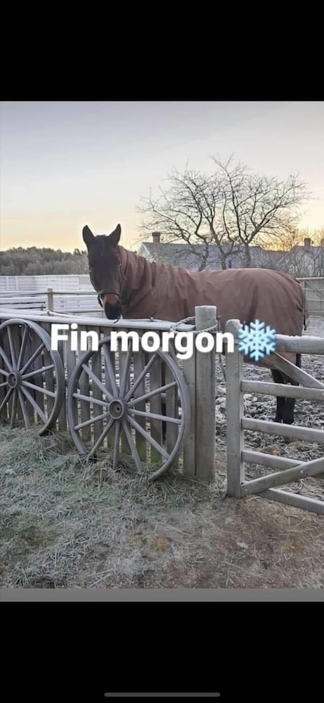 RanchJohanna
