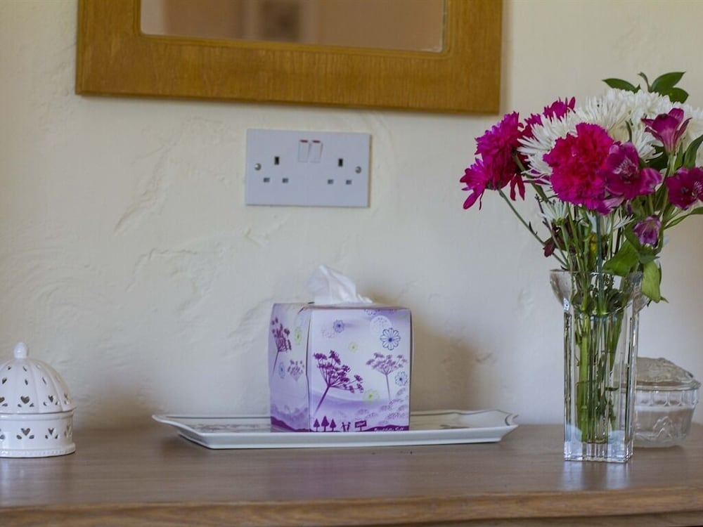 Magpies