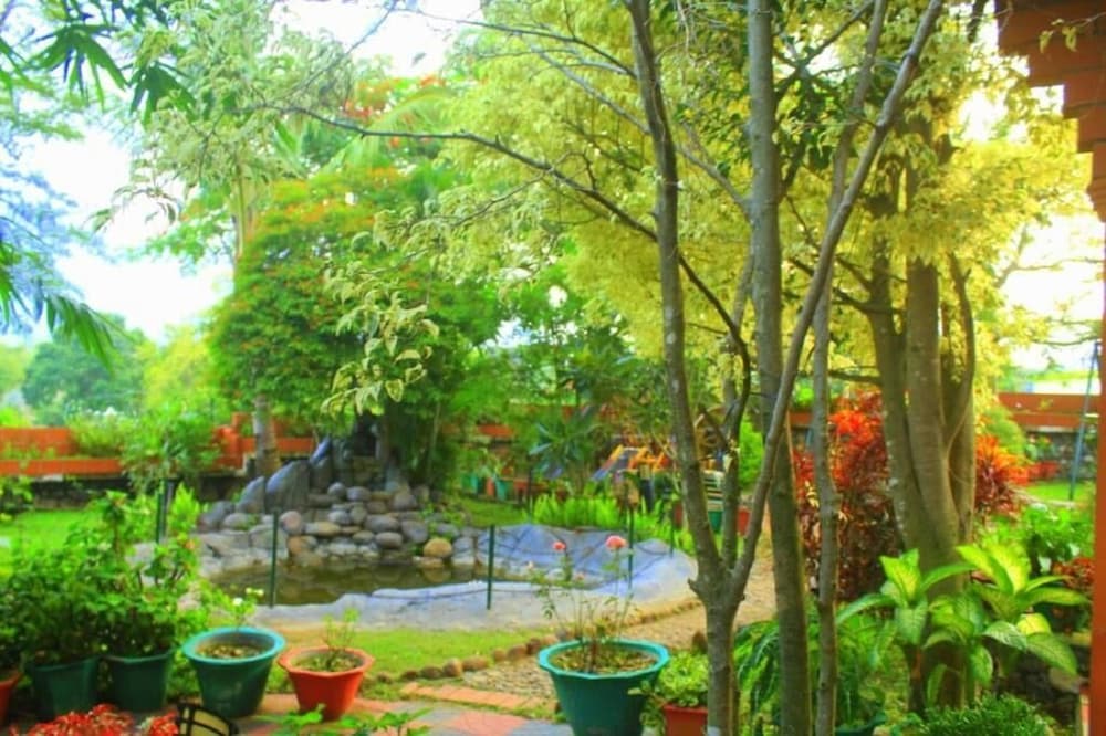 Photo 12
