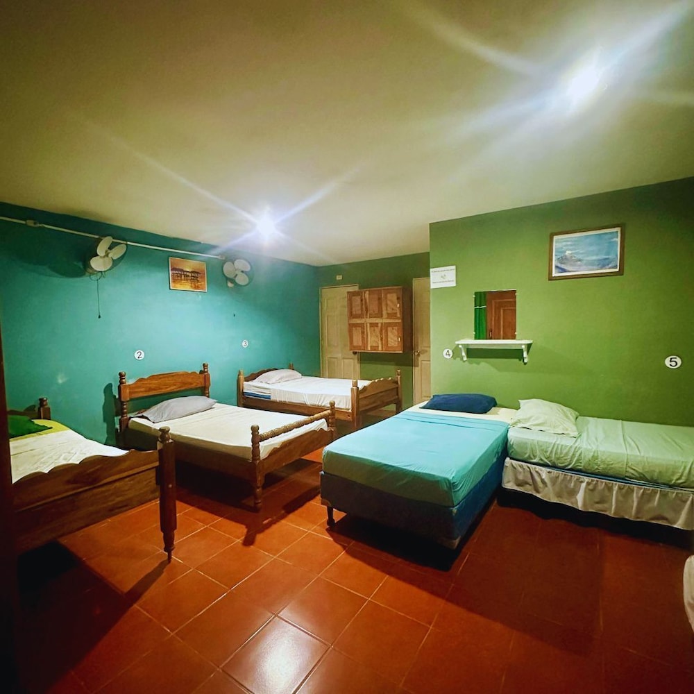 Green Hostel