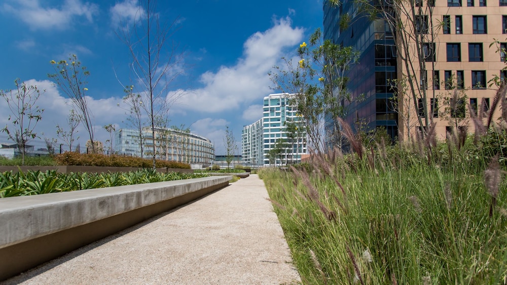Polanco Luxury Condo