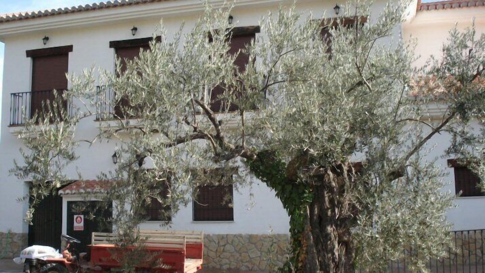 Las Albercas de Cónchar photo 5