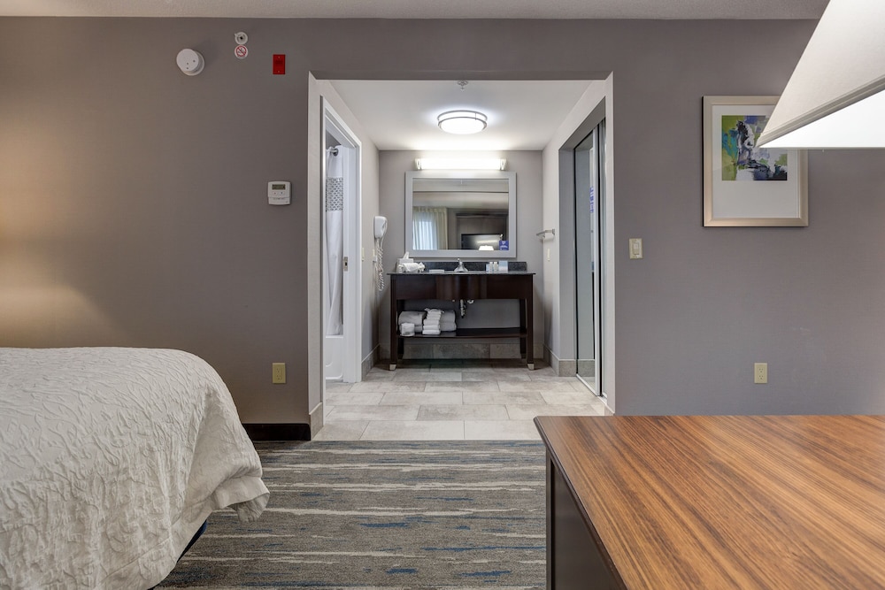 Brantford Vacations - Hampton Inn  Suites by Hilton Brantford Conference Centre - Property Image 4