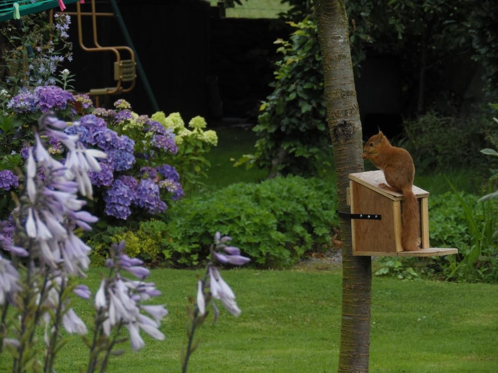 The Haven B&B