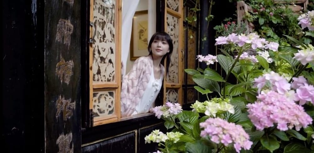 Yiyuan Snow Mountain View Historical Naxi House - Lijiang Old Town Mufu branch