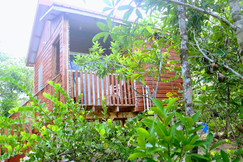 Palmento Grove Eco Cultural & Fishing Lodge