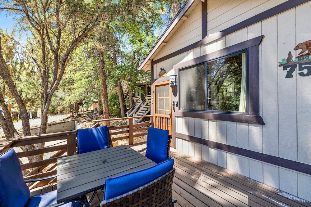 Bear Forest Cabin #2553