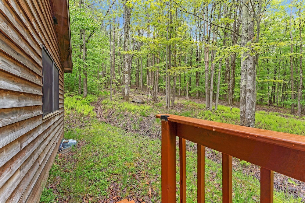 Modern Mountain Retreat Near Dolly Sods & Skiing 3 Bedroom Home